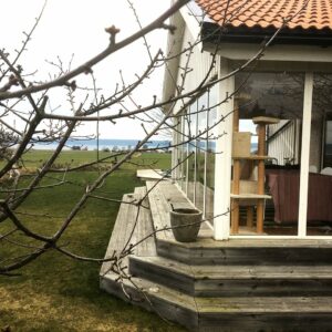 yngves-uterum-efter~imageoptim